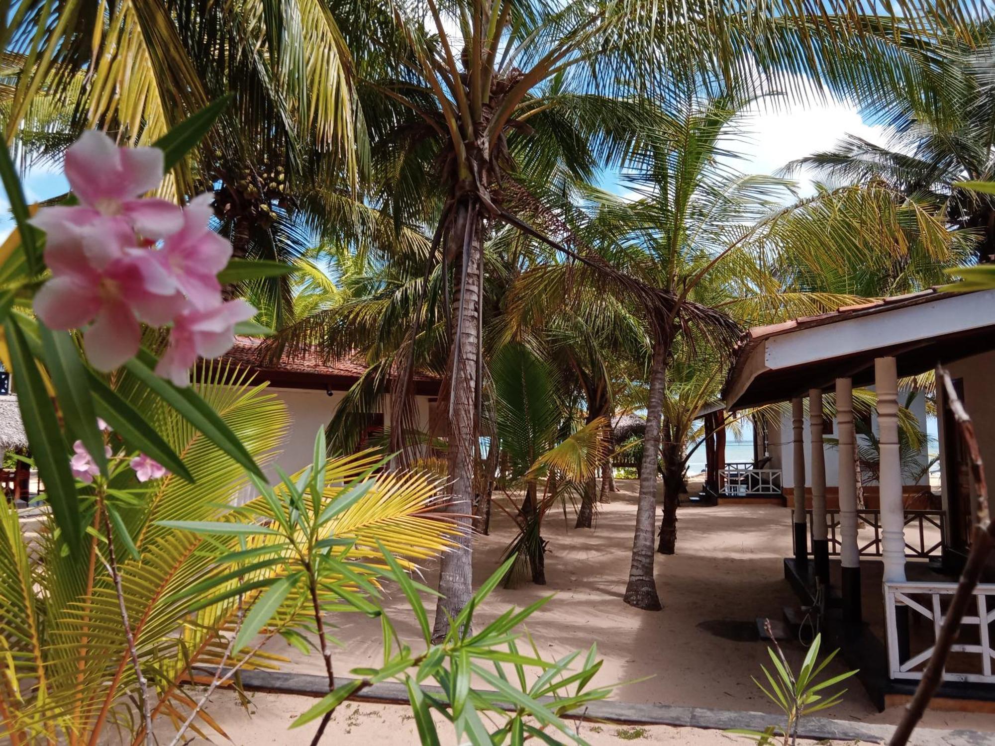 Ibisbird Beach Bungalows, Sport, Spa And Restaurant Tangalle Exterior photo