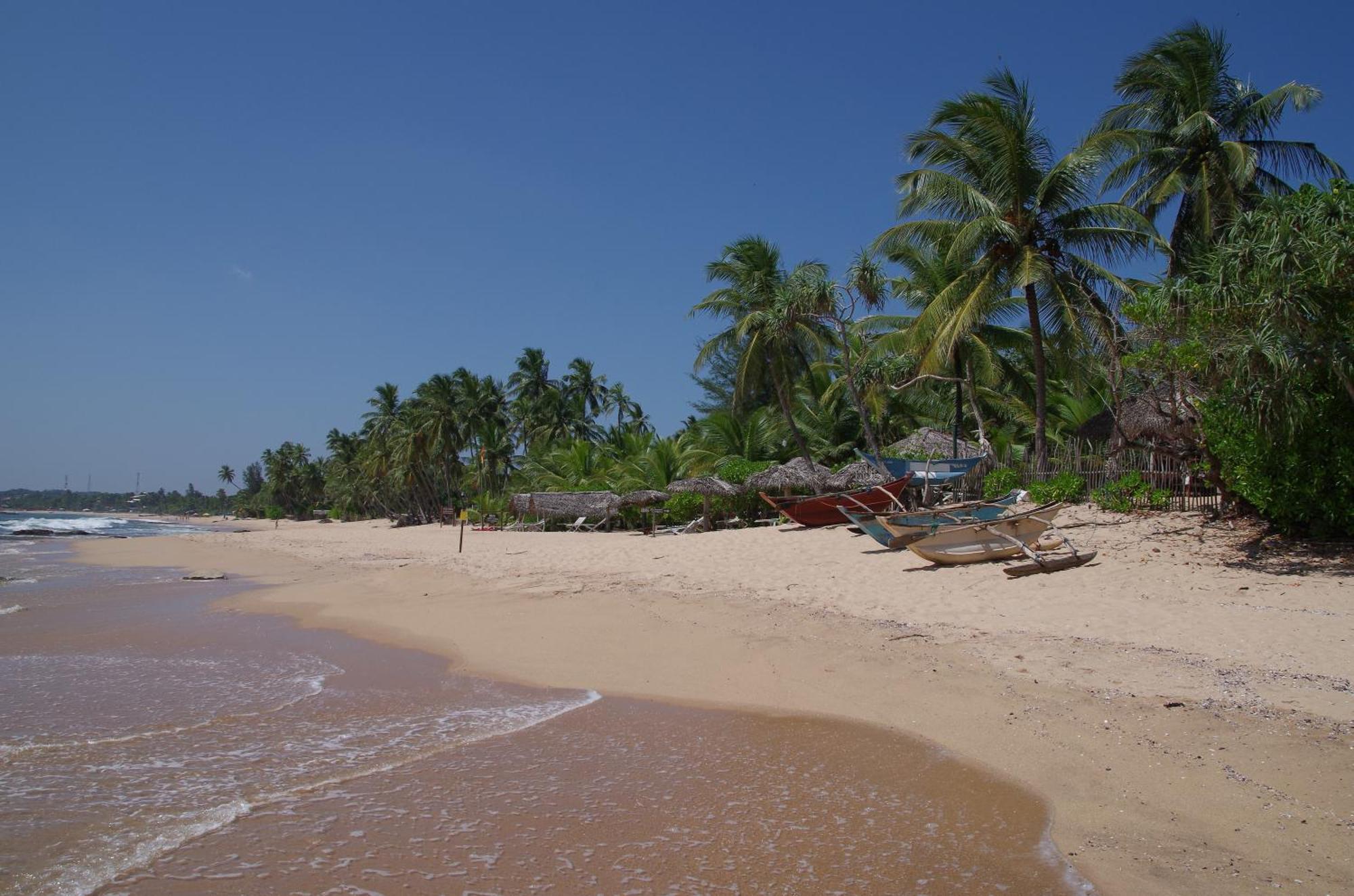 Ibisbird Beach Bungalows, Sport, Spa And Restaurant Tangalle Exterior photo
